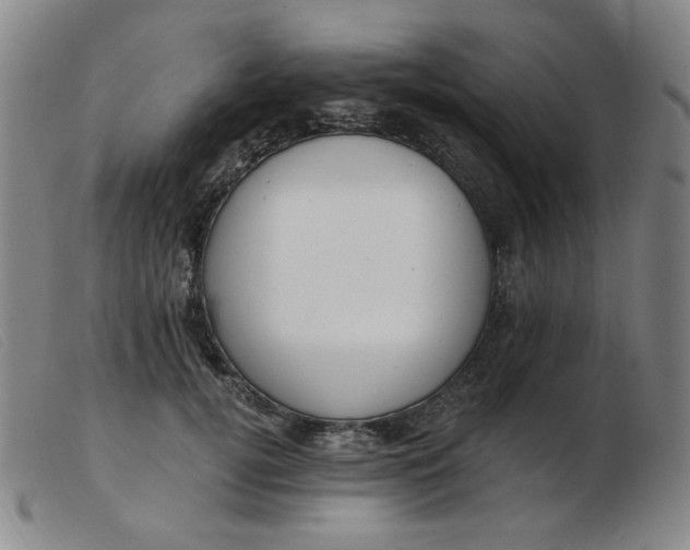 X0000103910752200809191302