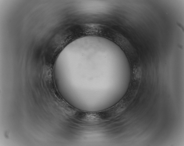 X0000103910753200809191302