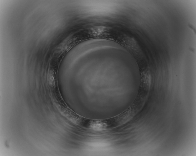X0000103910754200809191302
