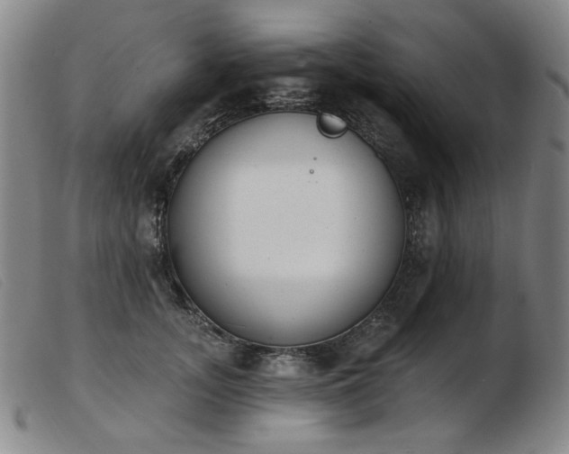 X0000103910755200809191302