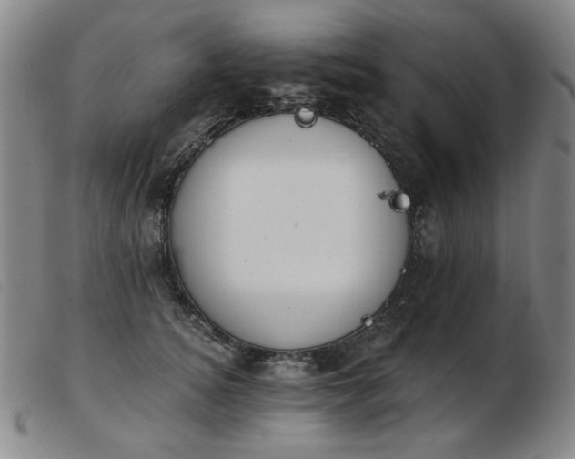 X0000103910756200809191302