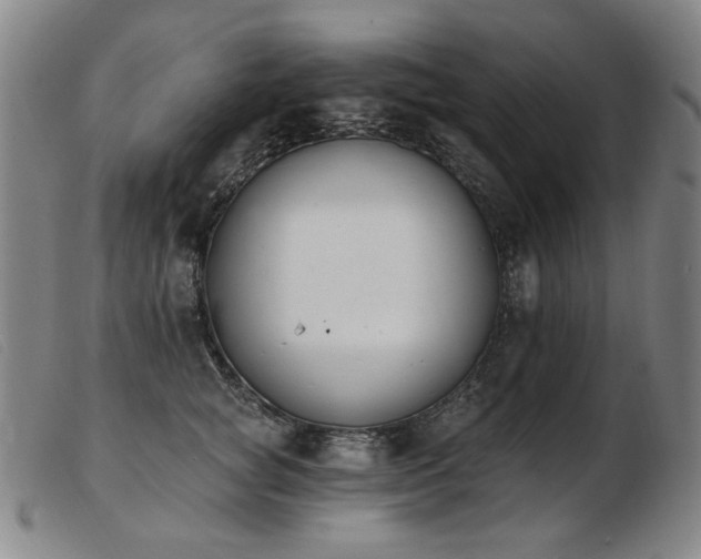X0000103910757200809191302