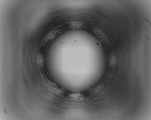 X0000103910759200809191302