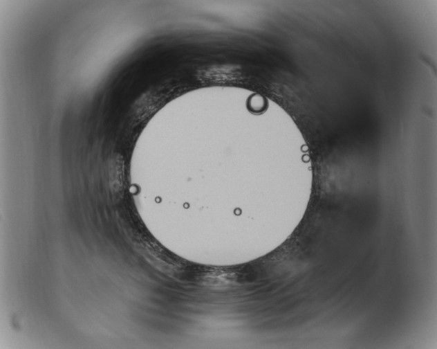 X0000103910760200809191302