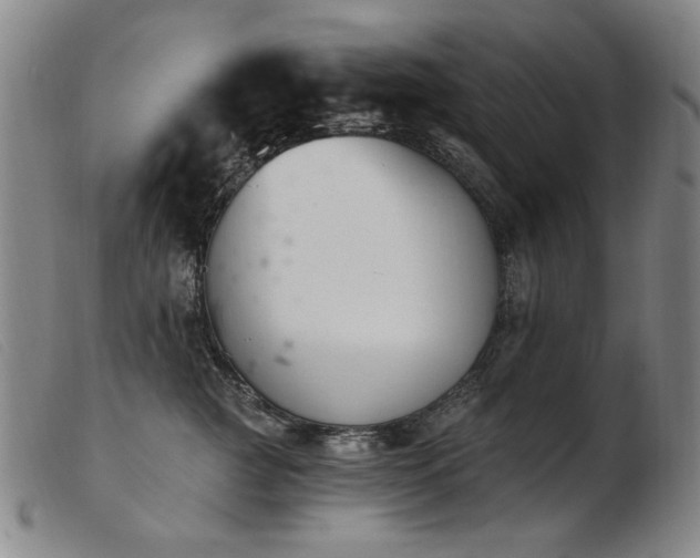 X0000103910761200809191302