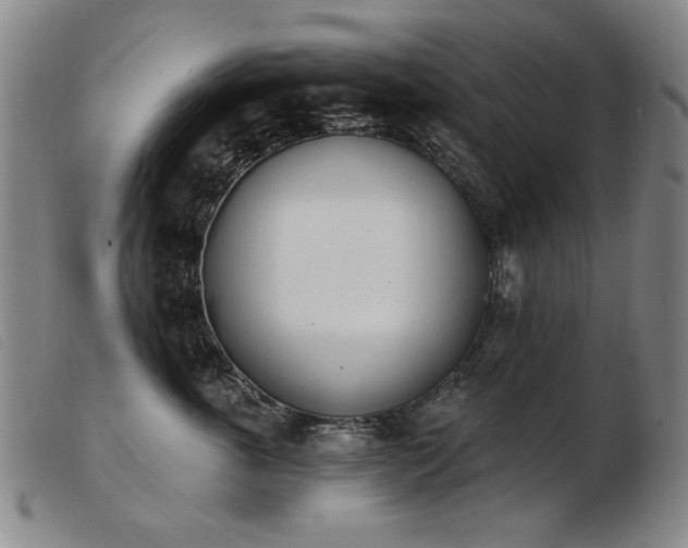 X0000103910763200809191302