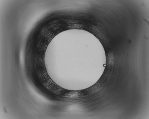 X0000103910764200809191302