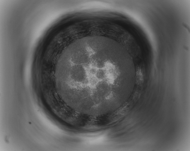 X0000103910765200809191302