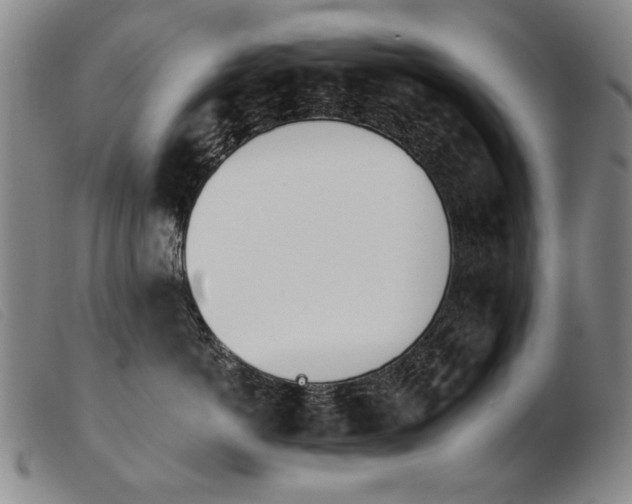 X0000103910766200809191302