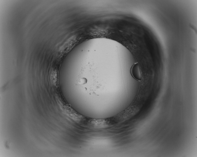 X0000103910767200809191302