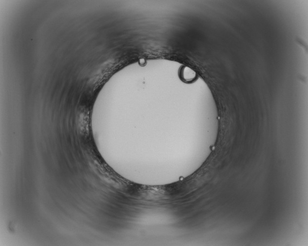 X0000103910768200809191302
