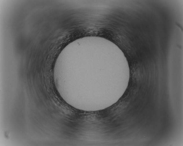 X0000103910769200809191301