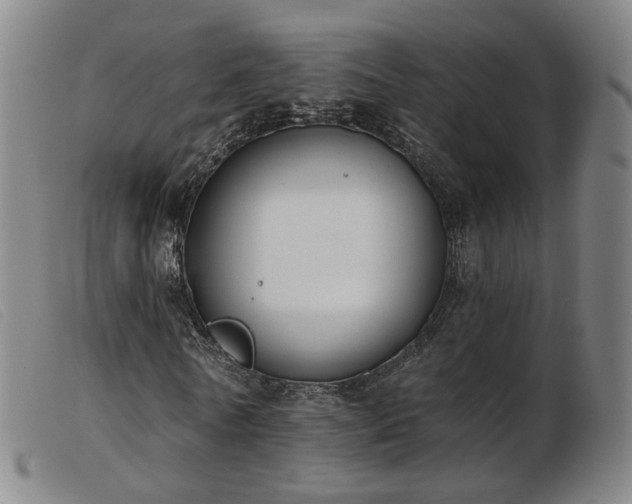 X0000103910770200809191301