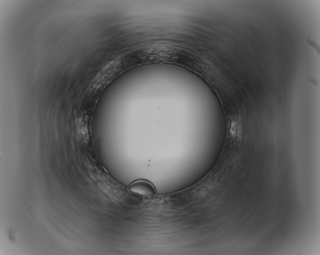 X0000103910771200809191301