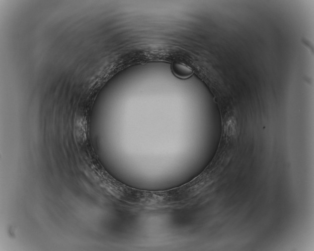 X0000103910772200809191301