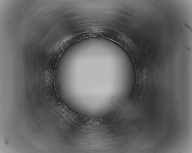 X0000103910773200809191301