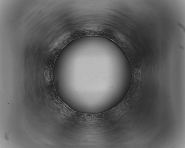 X0000103910774200809191301