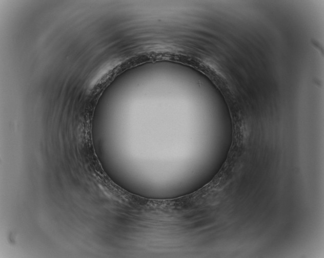 X0000103910775200809191301