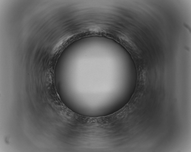 X0000103910776200809191301