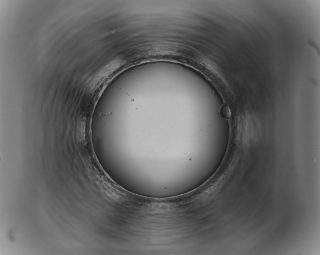 X0000103910777200809191301