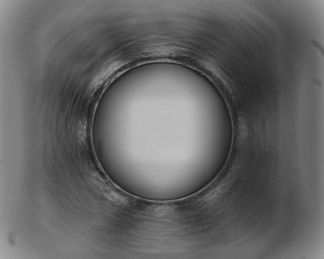 X0000103910778200809191301