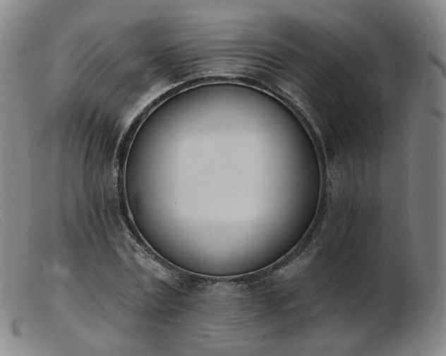 X0000103910779200809191301