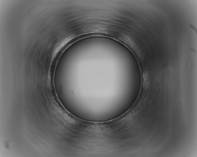 X0000103910780200809191301