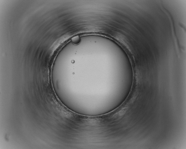 X0000103910781200809191301
