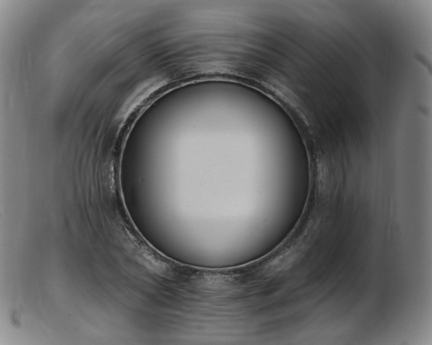 X0000103910782200809191301