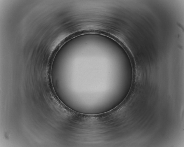 X0000103910783200809191301