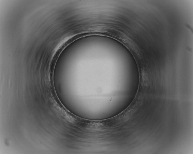 X0000103910784200809191301
