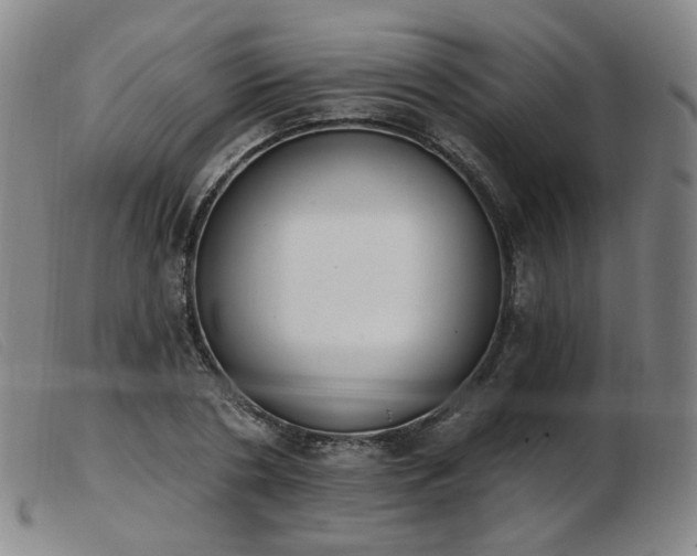 X0000103910786200809191301