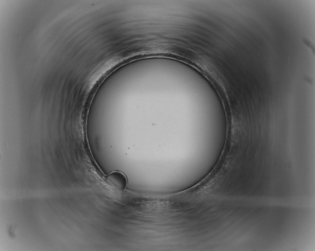 X0000103910789200809191301