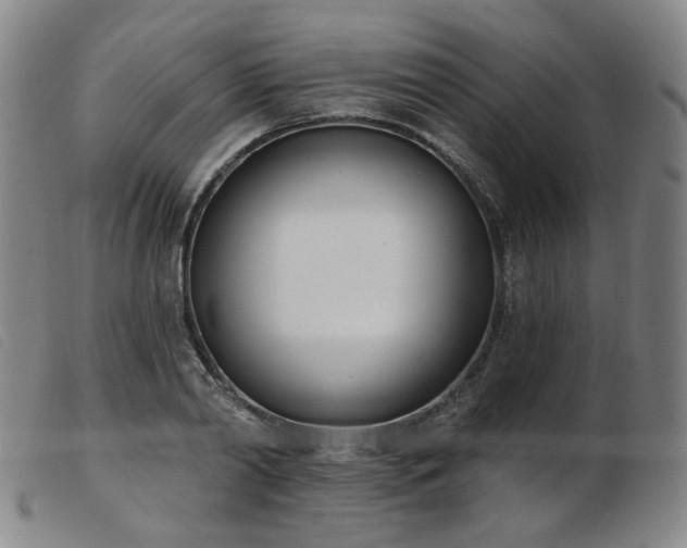 X0000103910790200809191301
