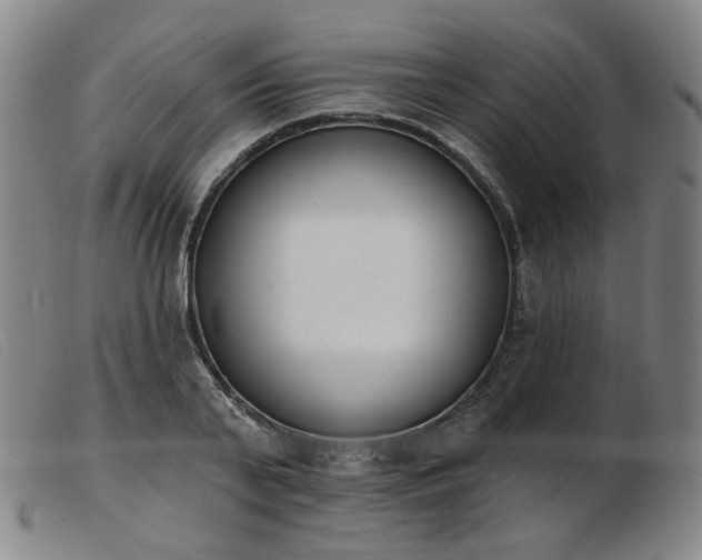 X0000103910791200809191301