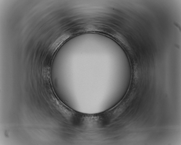 X0000103910793200809191301