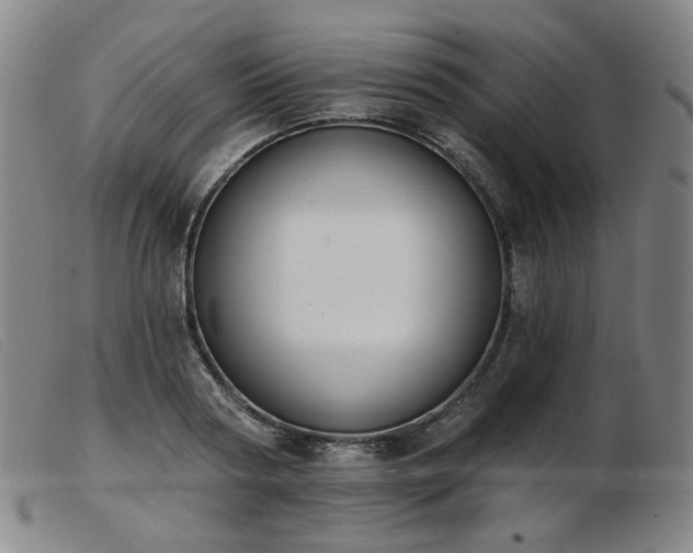 X0000103910794200809191301