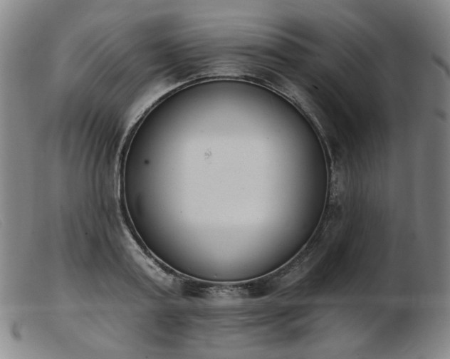 X0000103910795200809191301