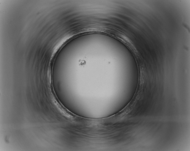X0000103910796200809191301