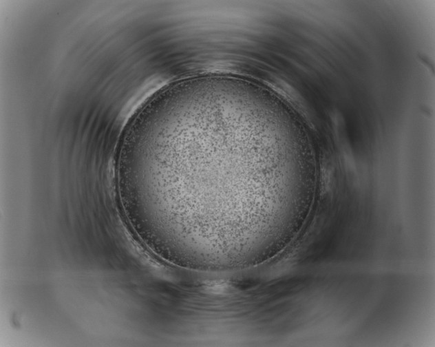 X0000103910798200809191301