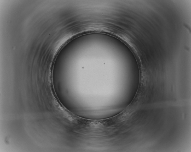 X0000103910799200809191301