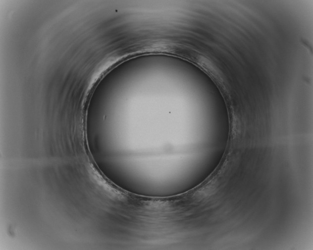 X0000103910800200809191301