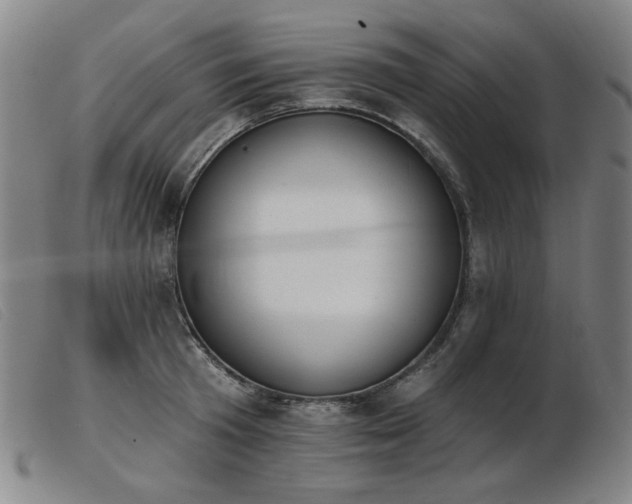 X0000103910801200809191301