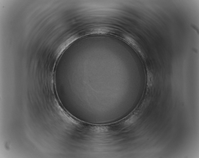 X0000103910802200809191301