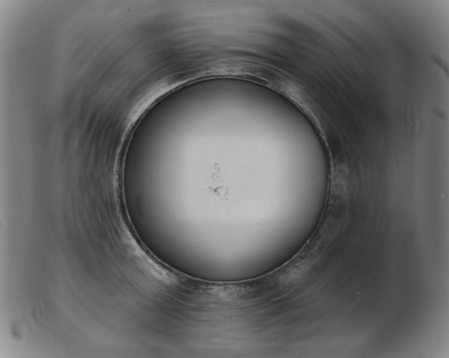 X0000103910803200809191301