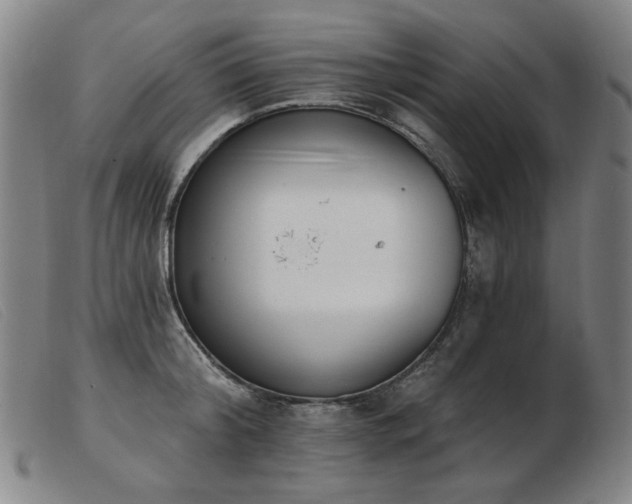 X0000103910804200809191301