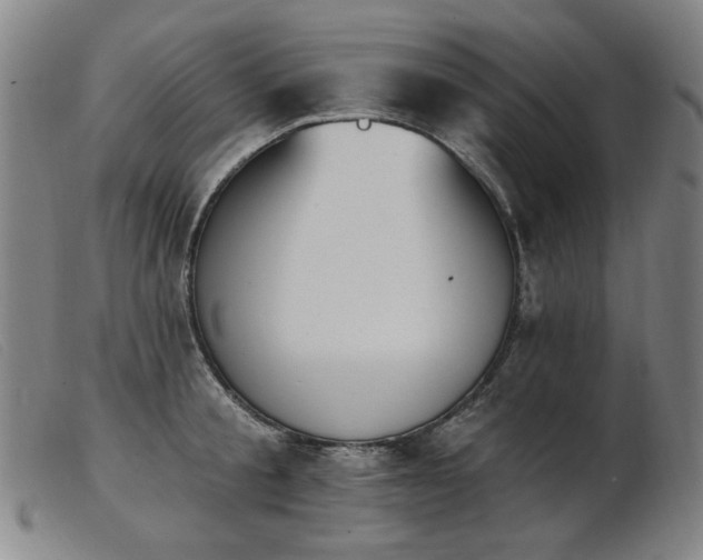 X0000103910805200809191301