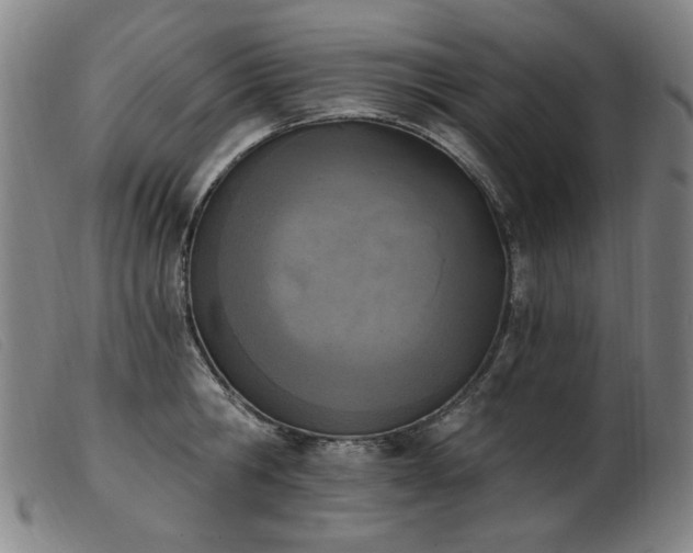 X0000103910806200809191301