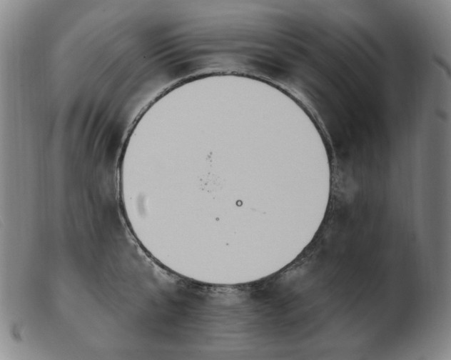 X0000103910807200809191301