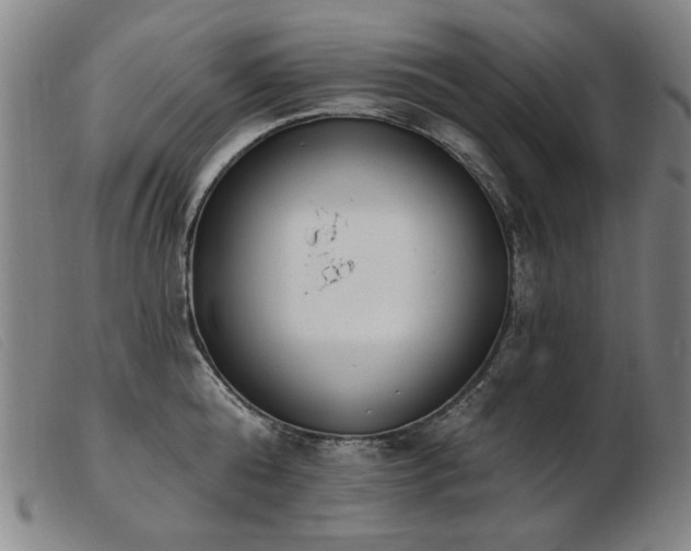 X0000103910808200809191301